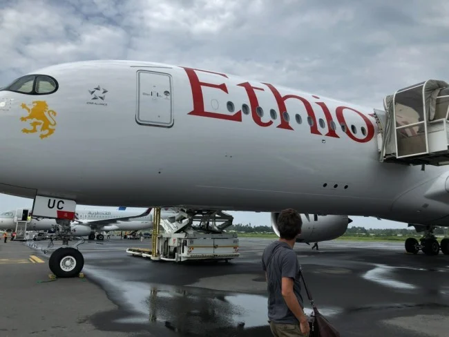 [北欧とアフリカを巡る年末年始の冒険旅行記：ザンジバルビーチ編53] エチオピア航空 A350-900でアディスアベバへ