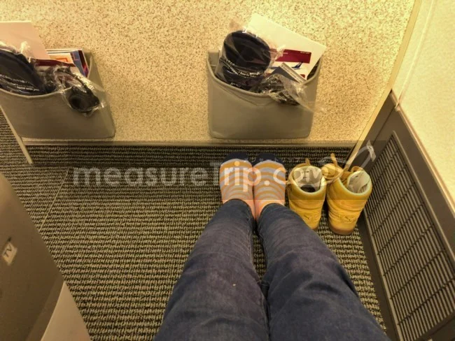 [北欧とアフリカを巡る年末年始の冒険旅行記：ザンジバルビーチ編71] 全日空（ANA）NH976便（上海発・大阪行き / B767-300）のビジネスクラスの座席レビュー