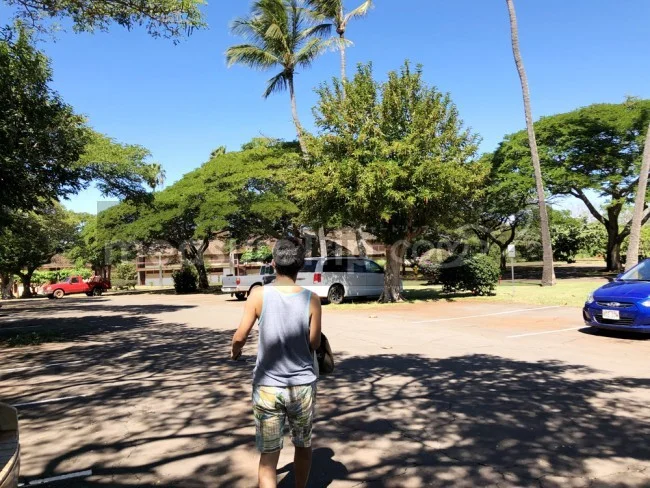 [ハワイ最後の楽園「モロカイ島」旅行記65] 太陽の光って大事。晴れたパポハクビーチ