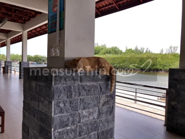 [マレーシアの秘境離島・レダン島GW旅行記16] 離島への玄関口「Merang Jetty - メランジェッティ」でレダン島の入場料を支払う。