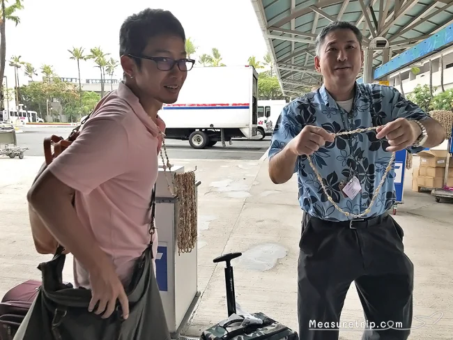 ホテルまで片道15ドル！サプライズありのおすすめハワイ空港送迎【ハワイ 空港 送迎】