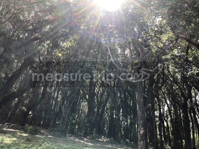 [ハワイ最後の楽園「モロカイ島」旅行記70] 悲しい歴史があるけれど美しい絶景スポット