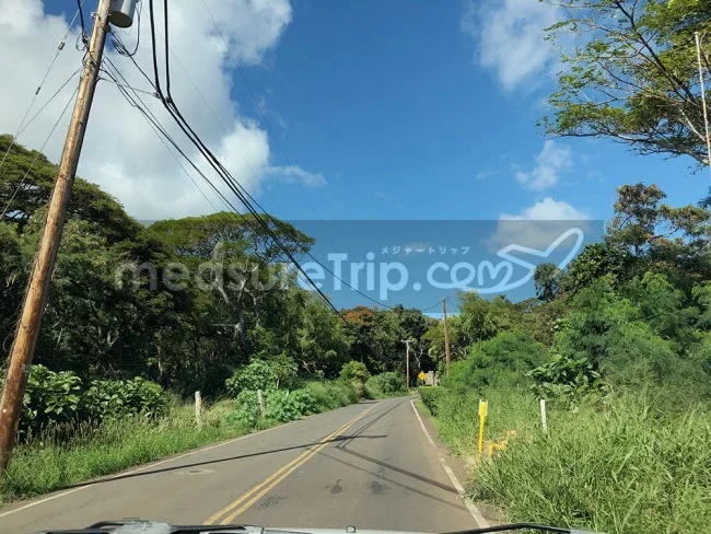 [ハワイ最後の楽園「モロカイ島」旅行記72] やばい！こんなん離合できんやん！進めんやん！（汗）