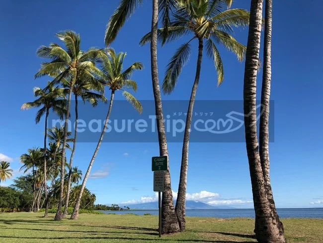 [ハワイ最後の楽園「モロカイ島」旅行記75] はるか昔、ハワイに渡ったご先祖様に導かれてワン・アリ・パーク
