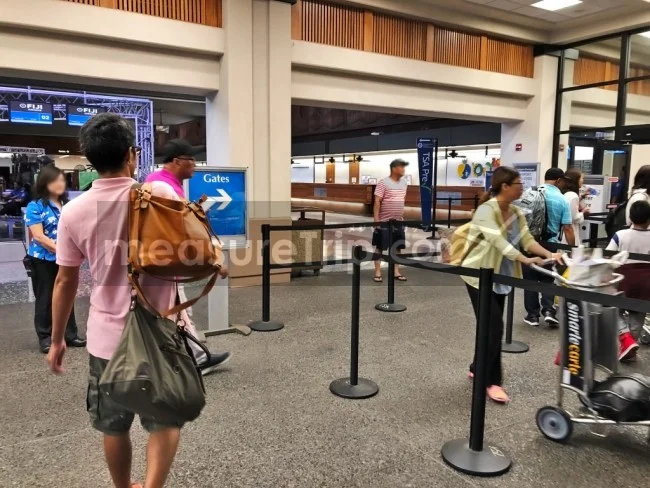 デルタ航空のスカイマイルなら夏休みハワイも特典旅行で行ける！
