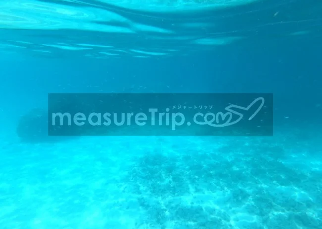 [マレーシアの秘境離島・レダン島GW旅行記32] Wisana Village前リーフでのシュノーケル