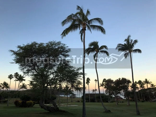 [ハワイ最後の楽園「モロカイ島」旅行記81] お別れの朝はTAROドーナツで朝ごはん。