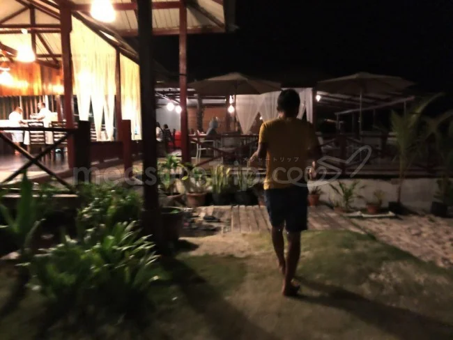 [マレーシアの秘境離島・レダン島GW旅行記43] トッケイヤモリ発見！