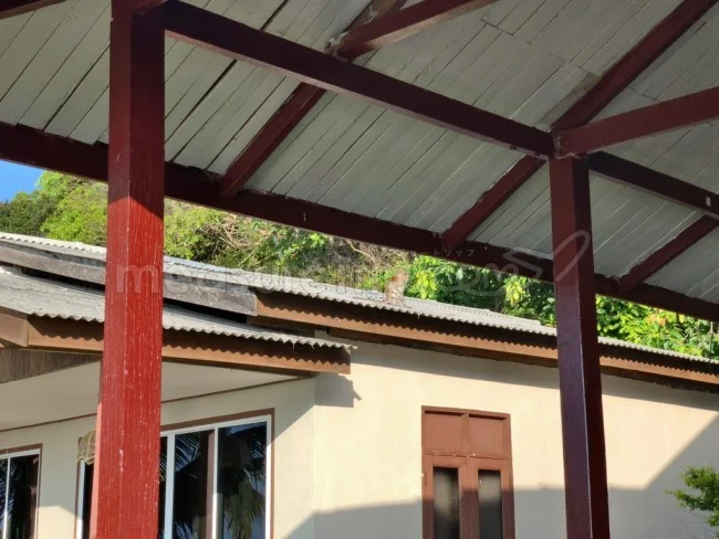 [マレーシアの秘境離島・レダン島GW旅行記47] レストランに猿とリス。
