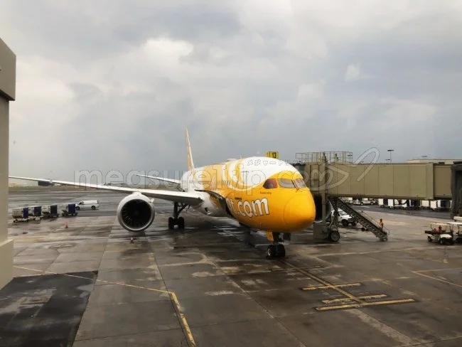 【格安でハワイの離島・モロカイ島 旅行記 ブログ | スクート&ハワイアン航空】ハワイ・モロカイ島の旅行の旅程、費用(予算)と個人手配方法を全て公開