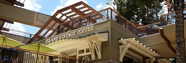 ハワイの人気店！アイランドヴィンテージコーヒーの穴場な時間帯は？