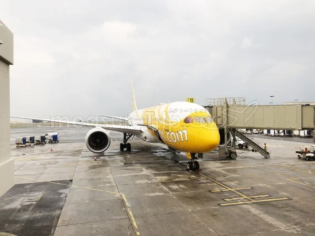 【悲報】SCOOT スクートさん値上げのお知らせ・金額は？