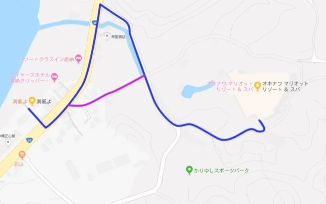 [マリオット・プラチナチャレンジ物語42] 夜。マリオットから歩いて居酒屋「海風よ」へ。