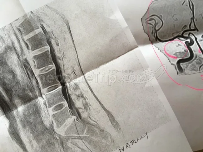 ミヅキも道連れ。激しい運動無しでモリオのアラフォーダイエット開始!
