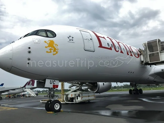 台風などによる遅延・欠航はどこまで航空会社は対応してくれる?