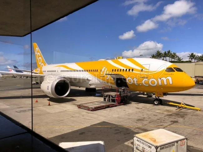 台風などによる遅延・欠航はどこまで航空会社は対応してくれる?