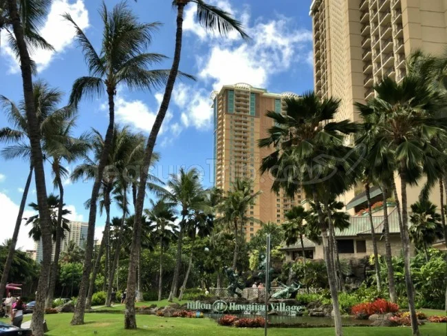 台風などによる遅延・欠航はどこまで航空会社は対応してくれる?