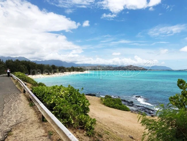 ハワイ・ラニカイビーチの行き方＆現地アクティビティを紹介！