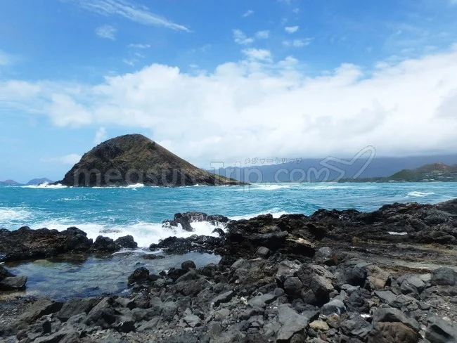 ハワイ・ラニカイビーチの行き方＆現地アクティビティを紹介！