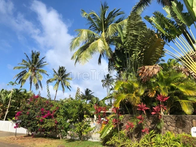 [憧れのラニカイビーチに泊まるハワイ旅行記16] 住宅の小道の向こうに見えるラニカイビーチの海。
