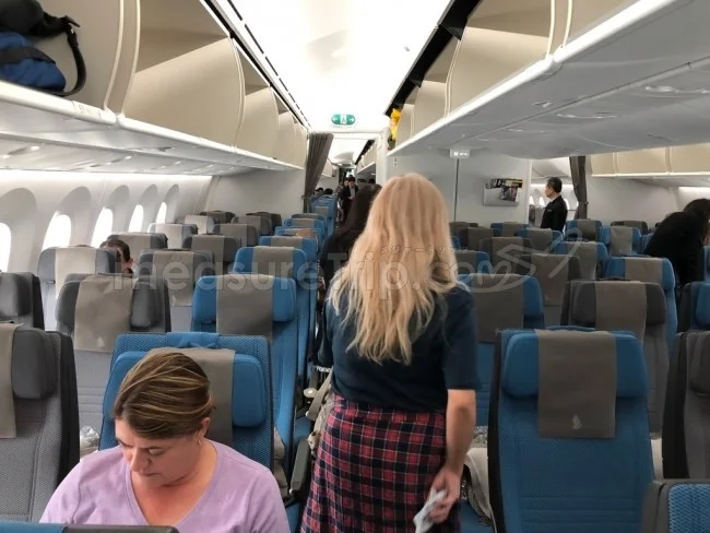 シンガポール航空 B787-10 エコノミークラス 大阪⇔シンガポール / 搭乗記