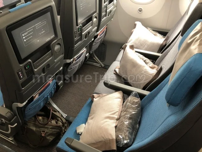 シンガポール航空 B787-10 エコノミークラス 大阪⇔シンガポール / 搭乗記