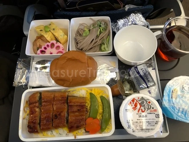 シンガポール航空 B787-10 エコノミークラス 大阪⇔シンガポール / 搭乗記