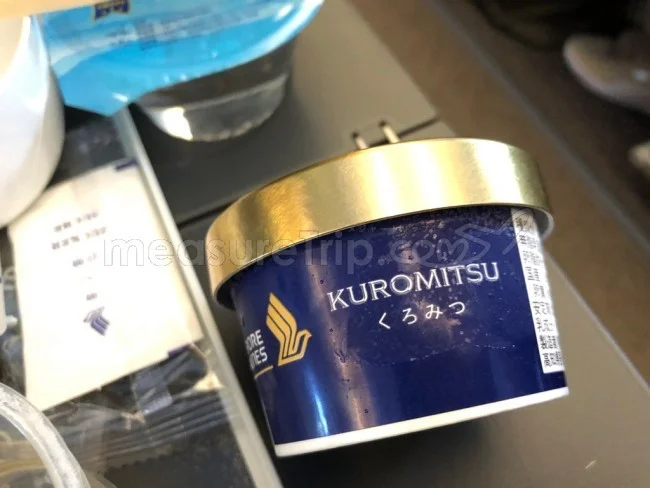 シンガポール航空 B787-10 エコノミークラス 大阪⇔シンガポール / 搭乗記