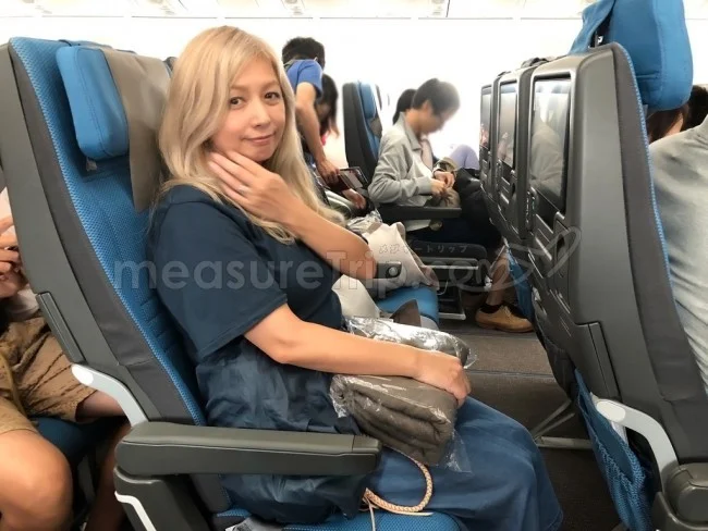 シンガポール航空 B787-10 エコノミークラス 大阪⇔シンガポール / 搭乗記