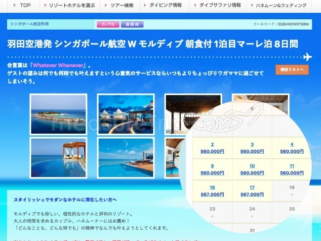 【モルディブ旅行】ツアーと個人旅行・旅費が安いのはどっち?
