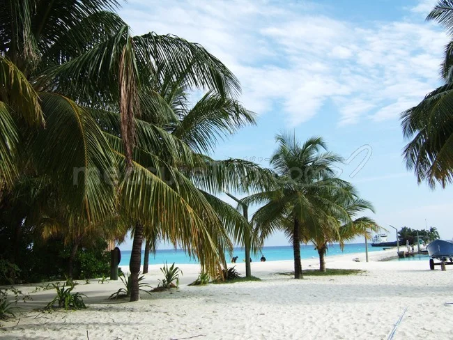 【モルディブ旅行】ツアーと個人旅行・旅費が安いのはどっち?