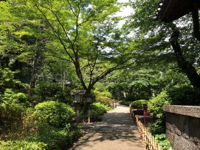 [マリオット・プラチナチャレンジ物語63] プリンスホテル自慢の日本庭園で錦鯉と戯れる。