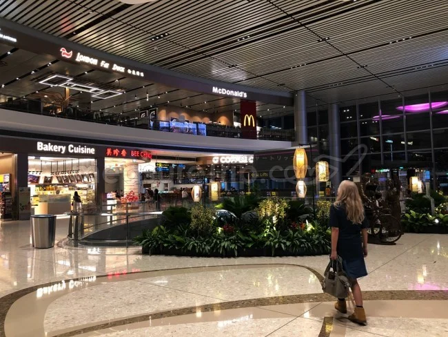 シンガポール・チャンギ国際空港 チェックインターミナル＆移動方法