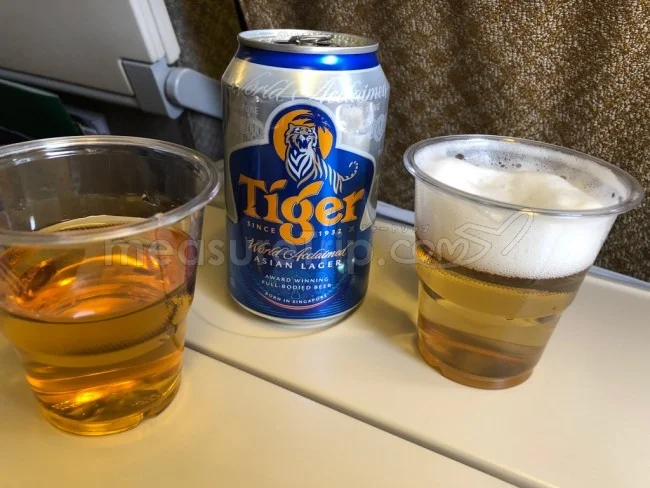 [野生のカンガルーがいる世界一のビーチを目指して！西オーストラリア・ロングドライブ旅行記27] 空の上。気がつけば爆睡。