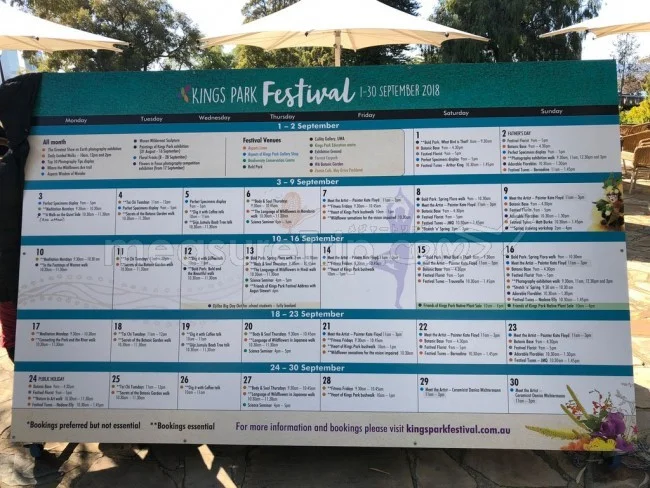 ワイルドフラワーの祭典「キングスパーク・フェスティバル」【パース観光】