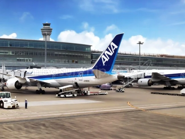 全日空 - ANA