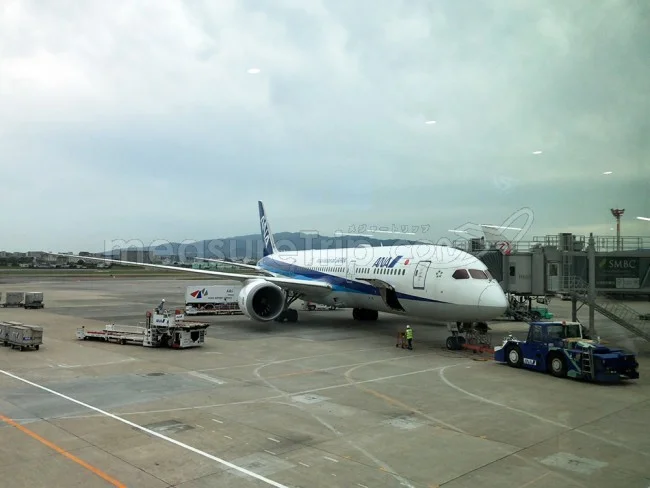 ANA国内線 B787 エコノミークラス 伊丹⇔羽田 / 搭乗記
