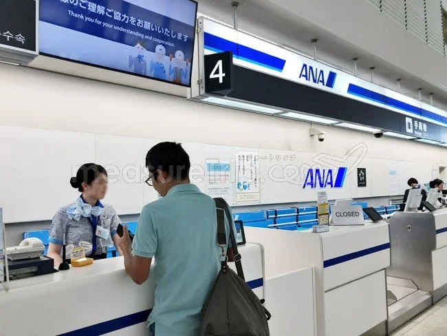 ANA国内線 B787 エコノミークラス 伊丹⇔羽田 / 搭乗記
