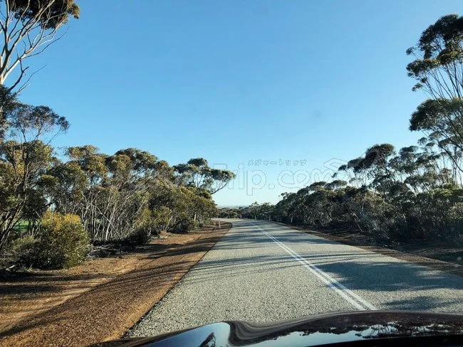 [野生のカンガルーがいる世界一のビーチを目指して！西オーストラリア・ロングドライブ旅行記45] ウェーブロックからKukerinまでレンタカーをぶっ飛ばす！