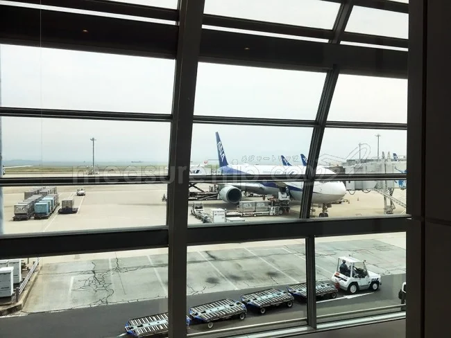 ANA国内線 B777-300 エコノミークラス 羽田⇔那覇 / 搭乗記