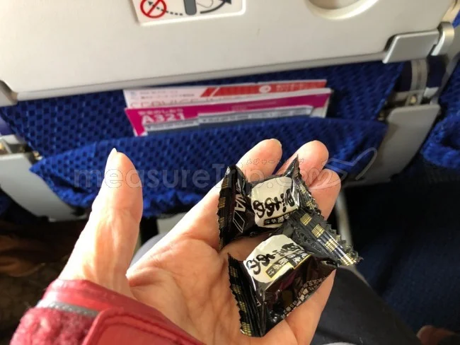 ANA国内線 A321neo エコノミークラス 大阪⇔東京 / 搭乗記