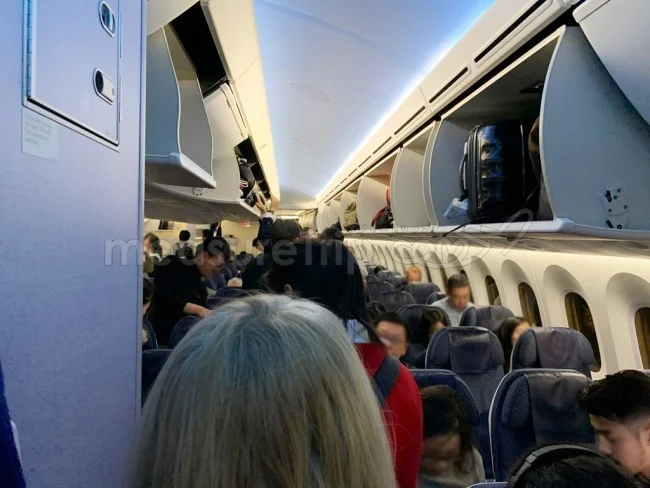 ANA国際線 B787-9 エコノミークラス 羽田⇔シンガポール / 搭乗記