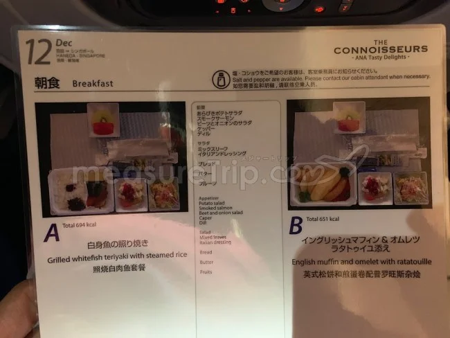 ANA国際線 B787-9 エコノミークラス 羽田⇔シンガポール / 搭乗記