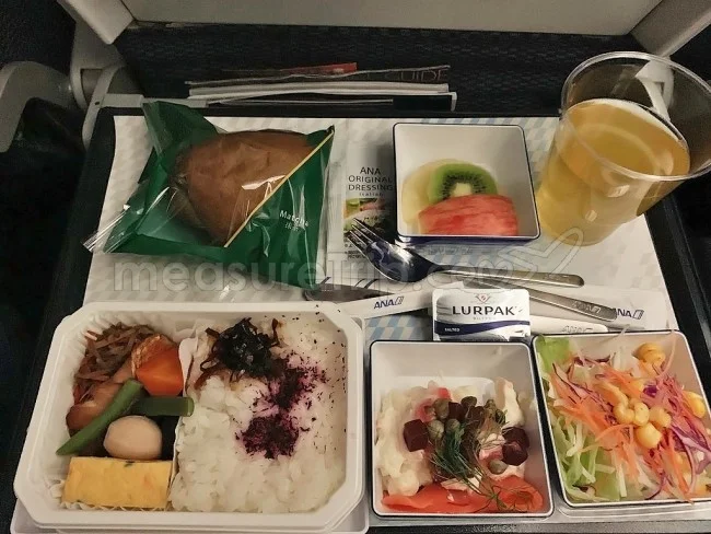 ANA国際線 B787-9 エコノミークラス 羽田⇔シンガポール / 搭乗記