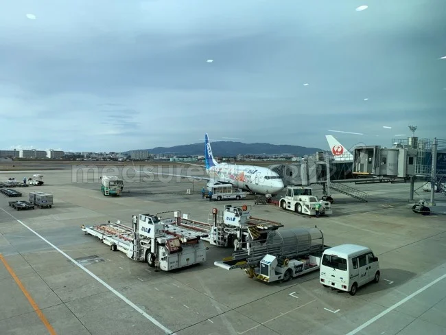 [ボイジャー・オブ・ザ・シーズで行く東南アジア・クルーズ旅行記7] ANAさんの国内線 A321neo に搭乗。国内線なのに個人モニターが付いてる！