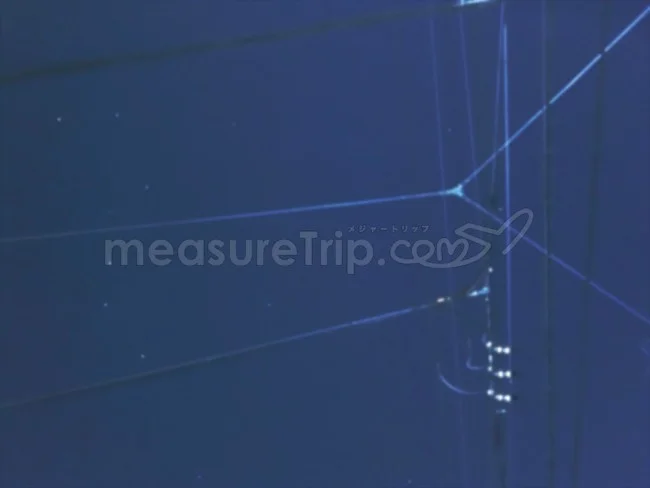 [年末年始のニュージーランド・テカポ湖に世界一の星空を見に行く旅行記2] iPhoneで星空の写真が撮れるのか？星空撮影アプリとツール探し。