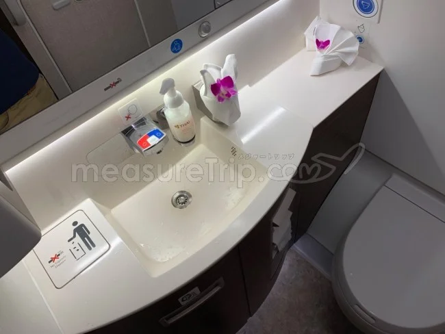 タイ国際航空 A350-900 ビジネスクラス 大阪⇔バンコク / 搭乗記