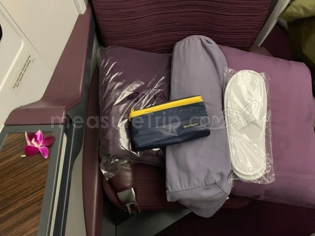 タイ国際航空 B789 ビジネスクラス バンコク⇔オークランド / 搭乗記