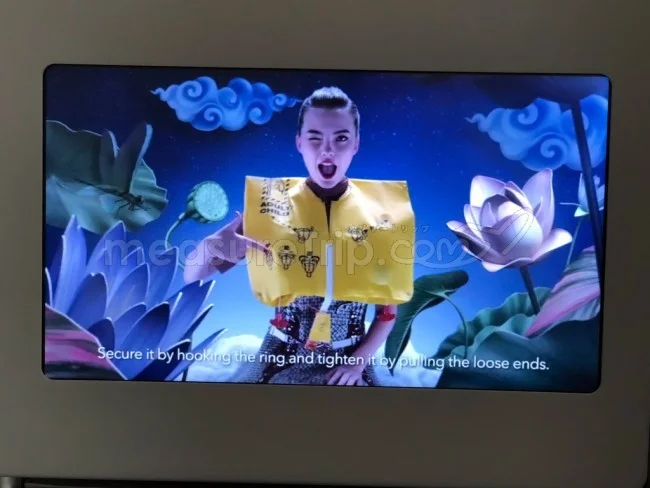 タイ国際航空 B789 ビジネスクラス バンコク⇔オークランド / 搭乗記