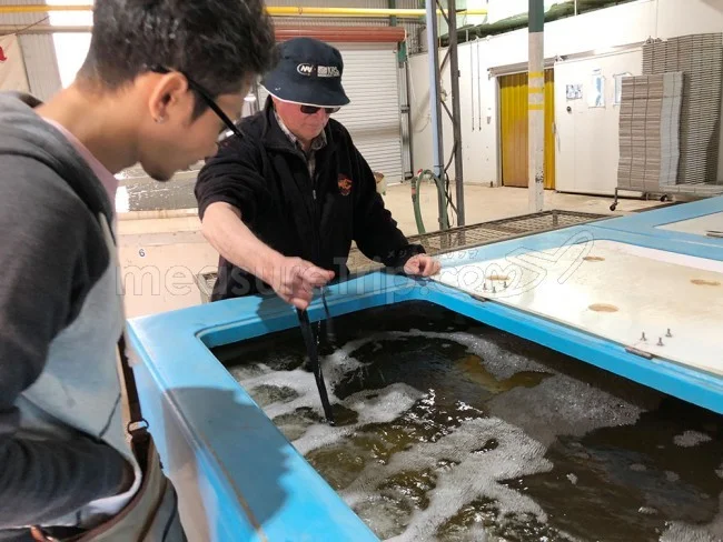 [野生のカンガルーがいる世界一のビーチを目指して！西オーストラリア・ロングドライブ旅行記53] Cambinata Yabbiesのヤビー工場に行ってみよう！